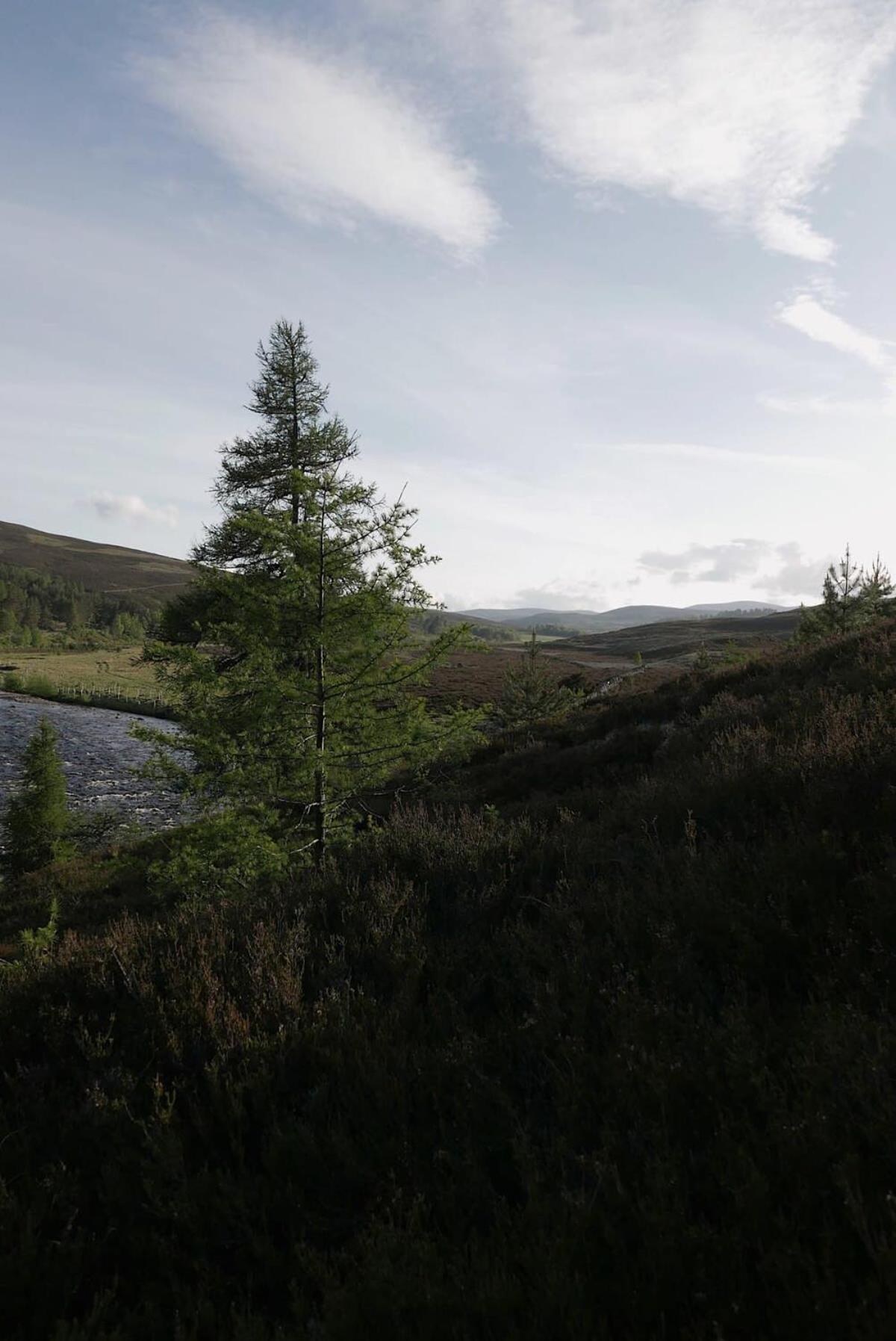 Huswell - Gairnshiel Lodge - Unique & Exclusive Lodge Next To The Castle Ballater Zewnętrze zdjęcie